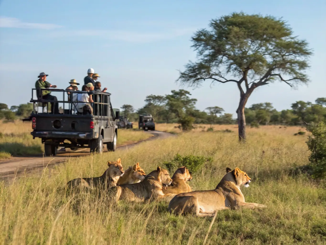 A group of travelers on safari in the Serengeti, Tanzania, observing a pride of lions in their natural habitat. The image should convey a sense of adventure, wildlife conservation, and the raw beauty of the African landscape.